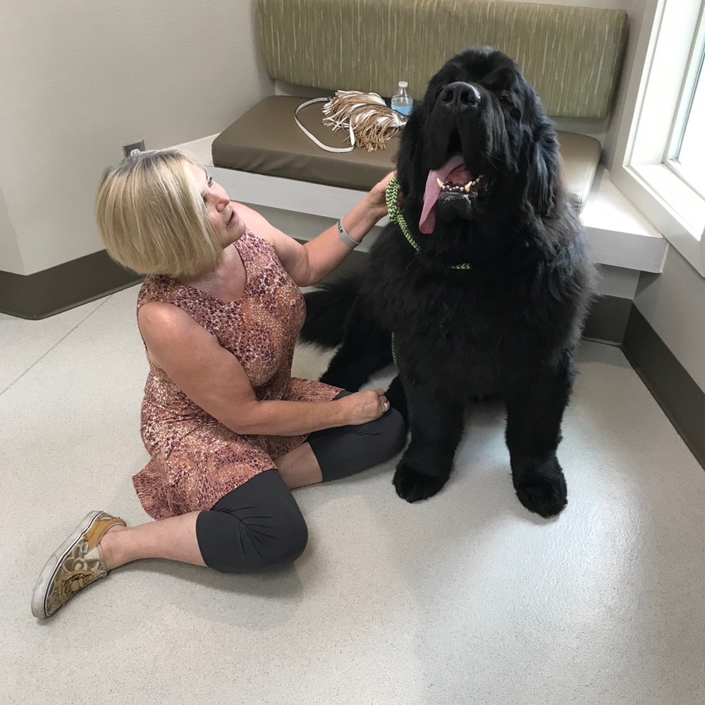 CrAzy Dog Lady! 🐶💖🐾